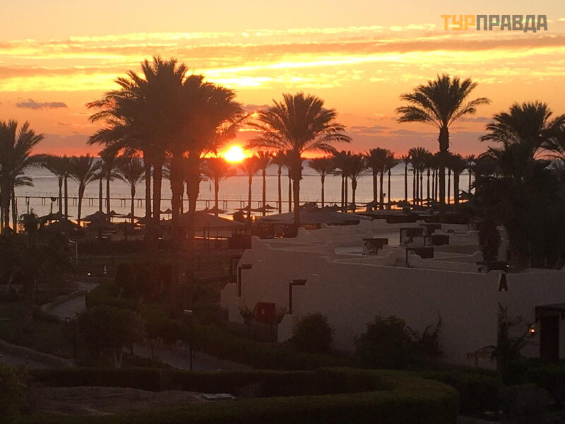 Вид из номера